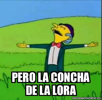 1781322832984.jpeg