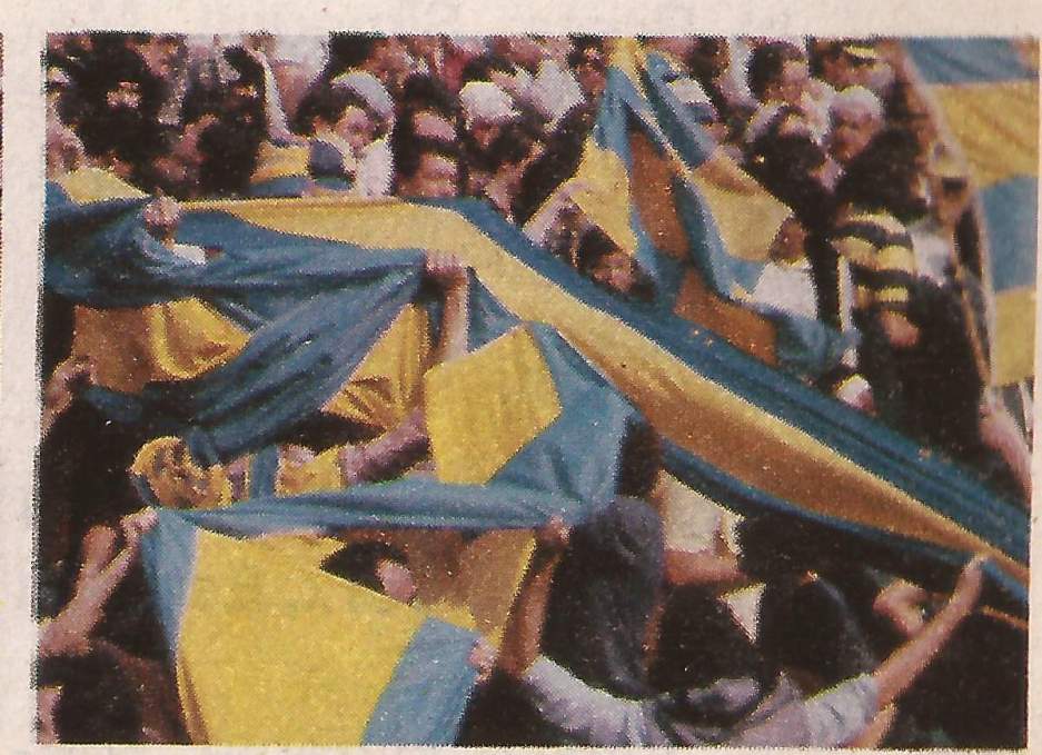 81.jpg