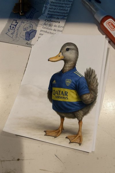 compressed_1754789327474.jpg