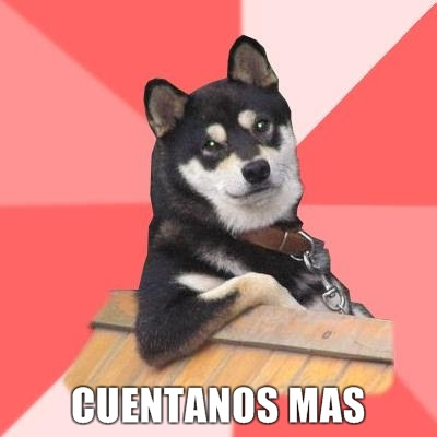 Cool-Dog-CUENTANOS-MAS.jpg