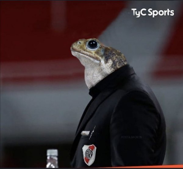 FdyBuHcWQAEZqIZ.jpg
