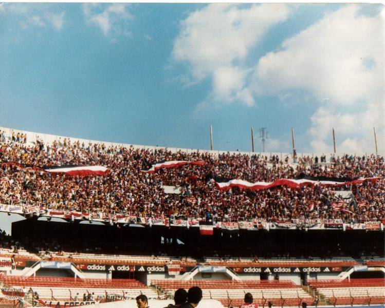 galehincha012.jpg
