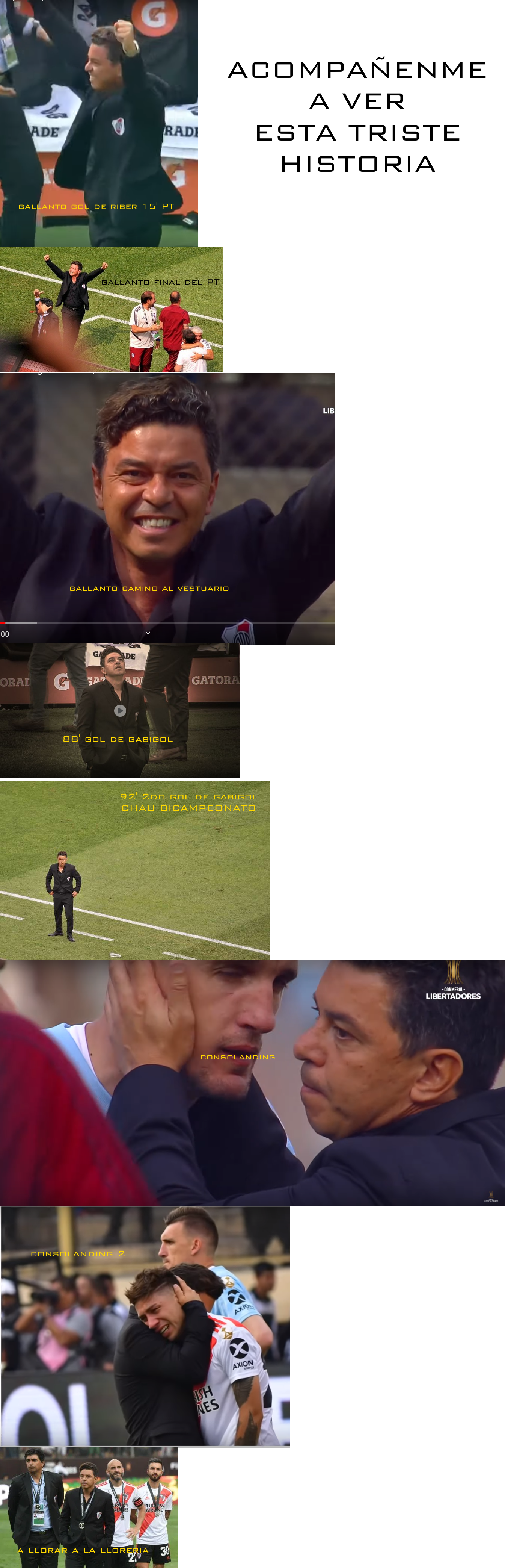GALLINAS.png