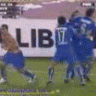 PR_bostero